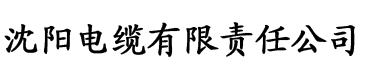 无尽天堂在线影院电缆厂logo